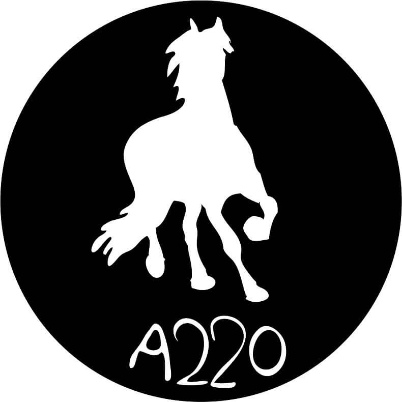 A220 Productions